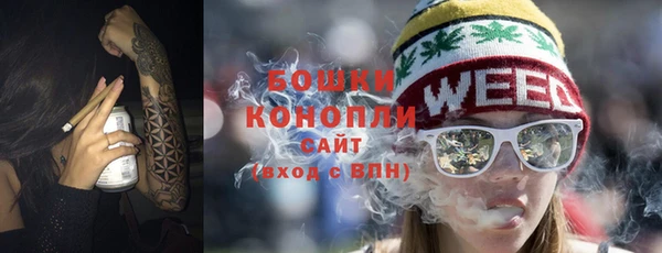 ГАЛЛЮЦИНОГЕННЫЕ ГРИБЫ Горно-Алтайск