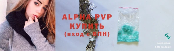 ГАЛЛЮЦИНОГЕННЫЕ ГРИБЫ Горно-Алтайск
