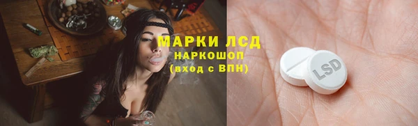 ГАЛЛЮЦИНОГЕННЫЕ ГРИБЫ Горно-Алтайск