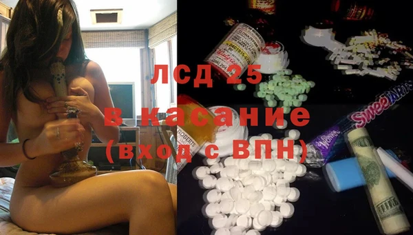 ГАЛЛЮЦИНОГЕННЫЕ ГРИБЫ Горно-Алтайск