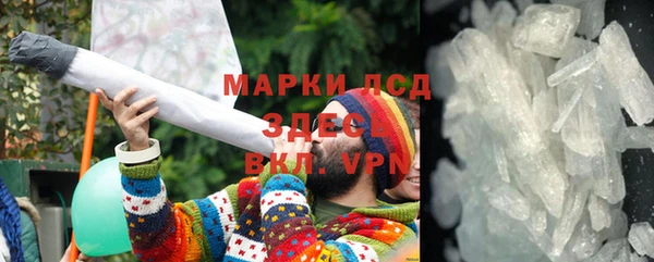 ГАЛЛЮЦИНОГЕННЫЕ ГРИБЫ Горно-Алтайск