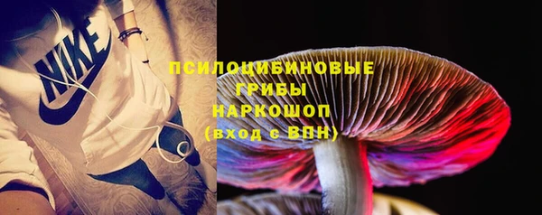 МДПВ Горняк