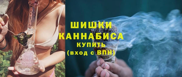 ГАЛЛЮЦИНОГЕННЫЕ ГРИБЫ Горно-Алтайск
