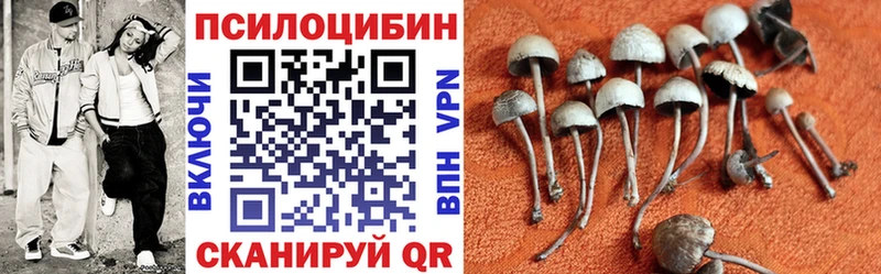где продают наркотики Окуловка Псилоцибиновые грибы Psilocybine cubensis