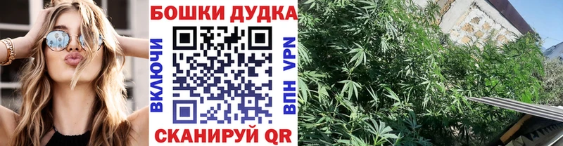 Конопля AK-47 закладка Окуловка
